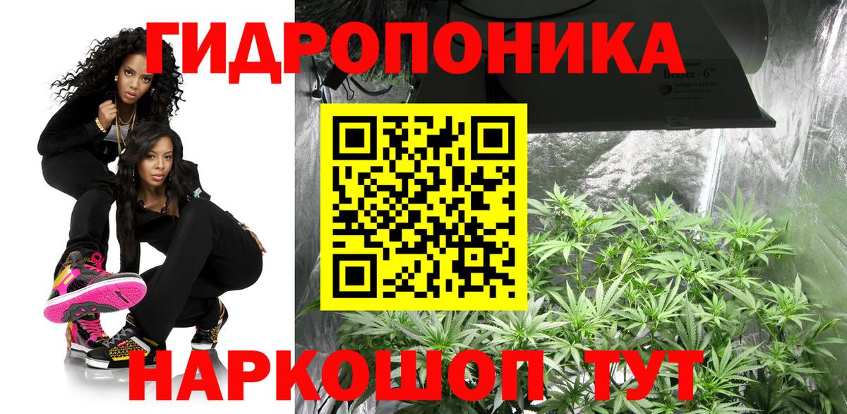 Конопля гибрид Лабытнанги